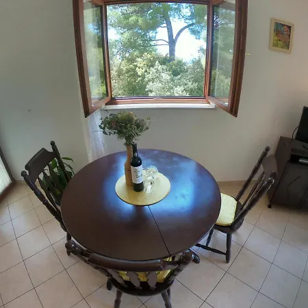 Appartement Stanko *